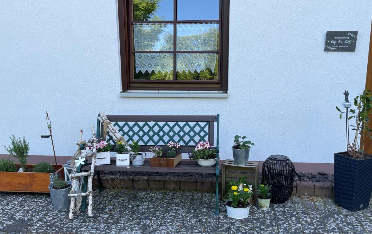 Ferienwohnung In Der Vulkaneifel "Opp Der Holl" Brockscheid Zewnętrze zdjęcie