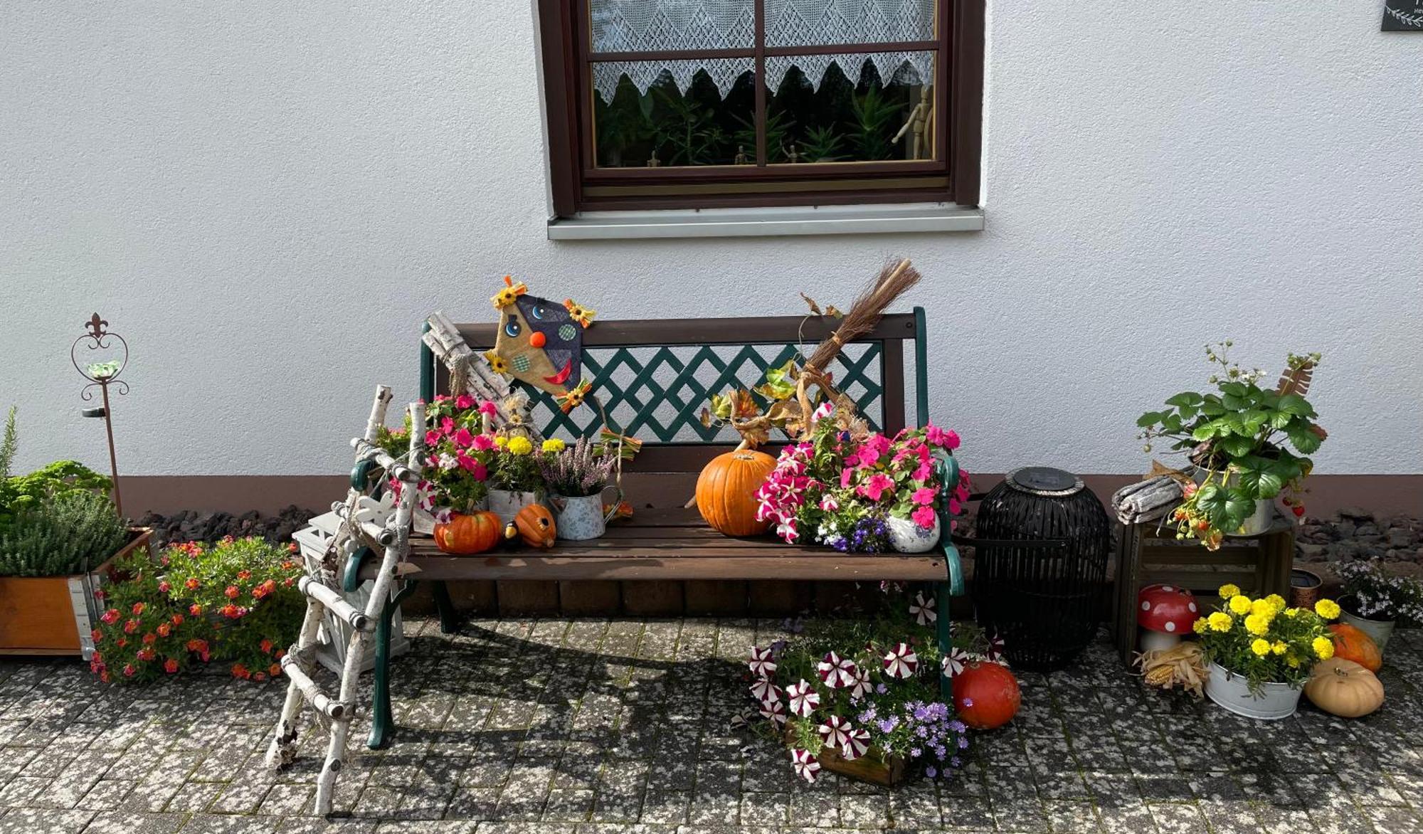 Ferienwohnung In Der Vulkaneifel "Opp Der Holl" Brockscheid Zewnętrze zdjęcie